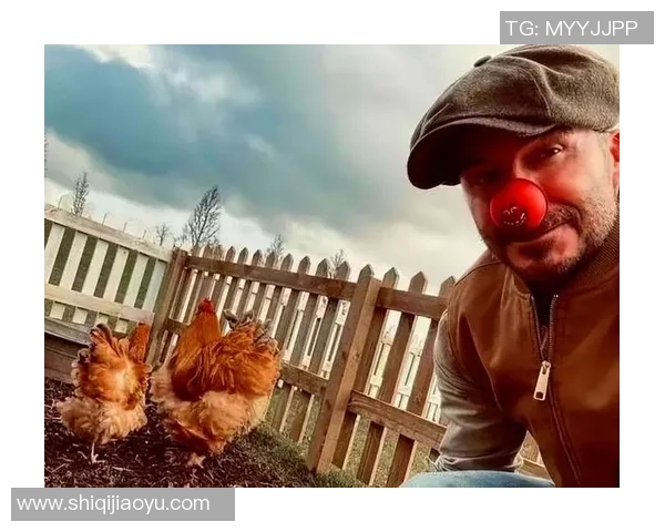 哪个足球明星在养鸡行业中最具影响力与成就揭秘