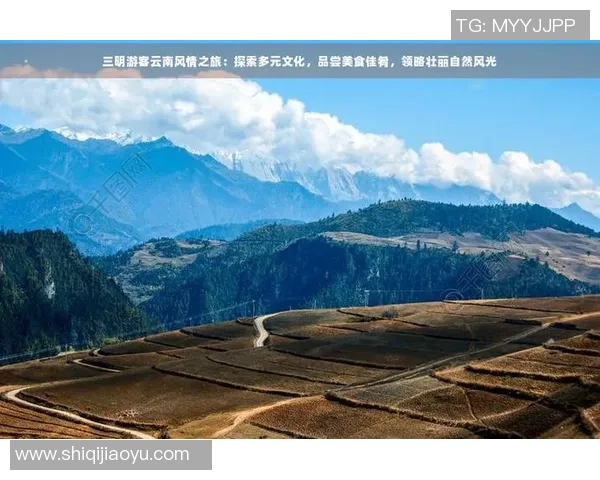 探索卡利亚里魅力之旅体验美食文化与自然风光的完美结合